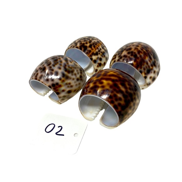 Tiger Cowrie Shell | Brown, White | Napkin Rings | Set Of 4 | Size 2” - Picture 6 of 10